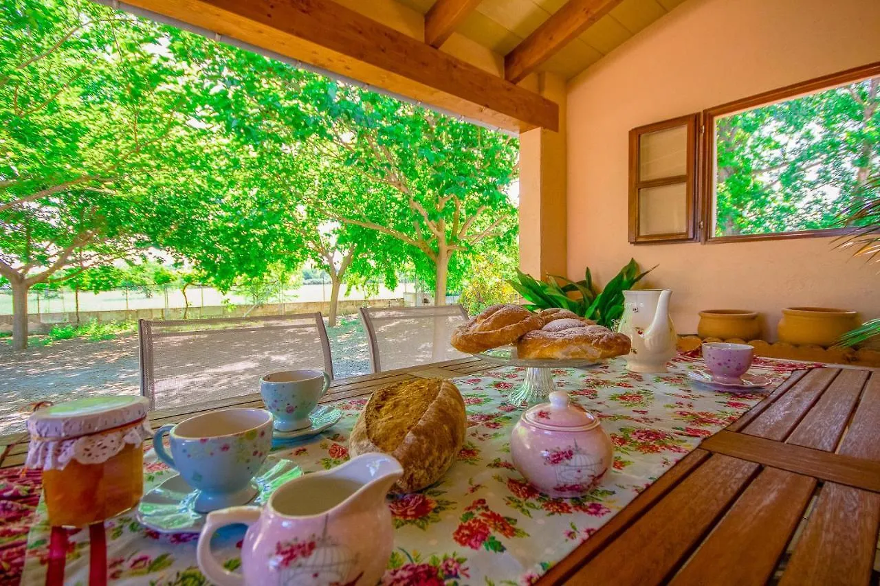 Can Malanyo Alcudia  Villa